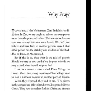 The Energy of Prayer - Retail Maharaj