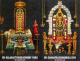 Rahu Ketu Dosha Parihara Pooja at Sri Kalahasti Temple by Retail Maharaj - Retail Maharaj