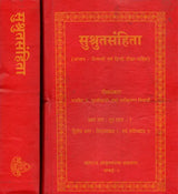Susruta Samhita (Set of Two Volumes) - Retail Maharaj