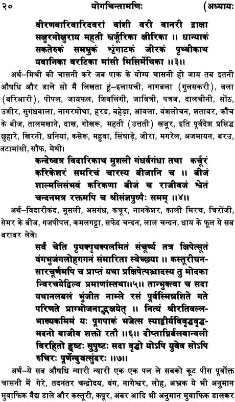 Yoga Chintamani - Retail Maharaj