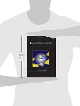 Condensed Matter in a Nutshell - Retail Maharaj