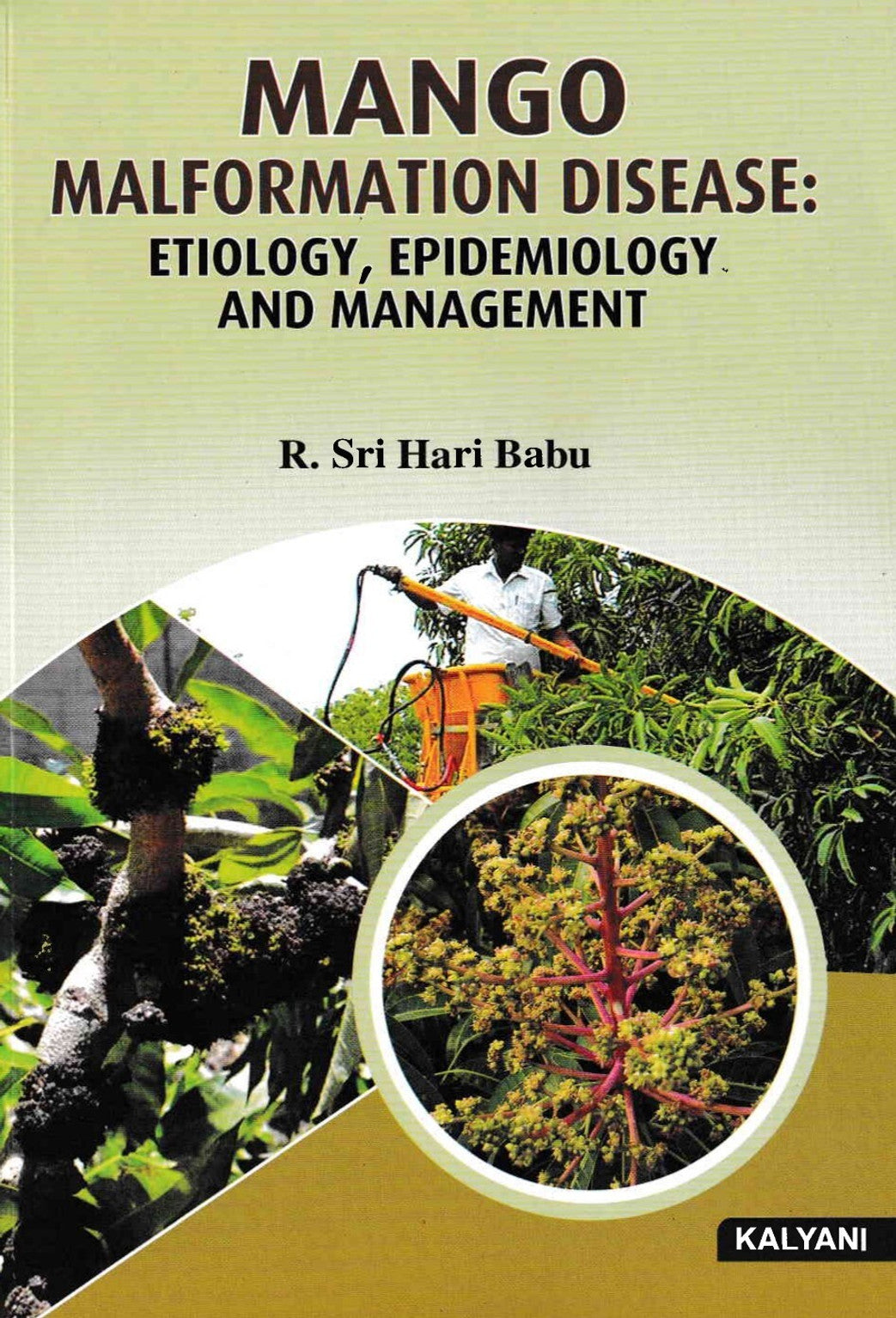 Mango Malformation Diseases: Etiology, Epidemilogy & Management
