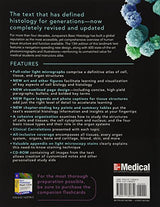 Junqueira's Basic Histology: Text and Atlas, Thirteenth Edition - Retail Maharaj