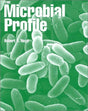 Microbial Profile - Retail Maharaj