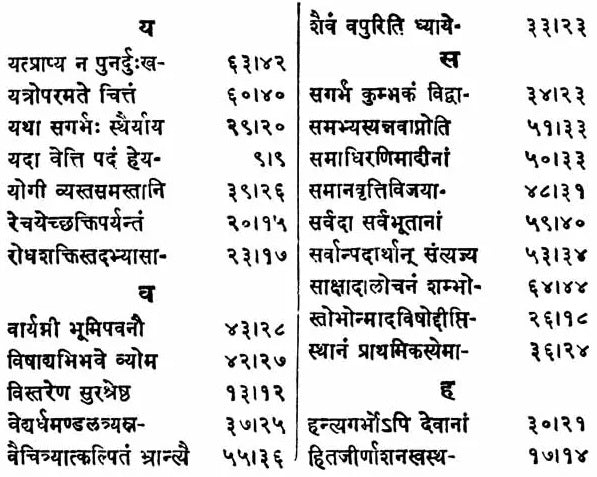 Sri Mrgendra Tantram (Vidyapada & Yogapada) With the Commentary of Narayanakanth (An Old and Rare Book) - Retail Maharaj