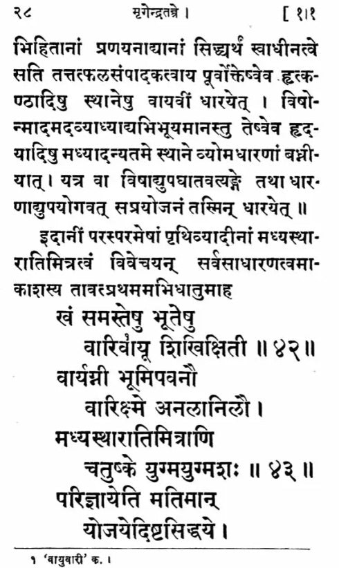 Sri Mrgendra Tantram (Vidyapada & Yogapada) With the Commentary of Narayanakanth (An Old and Rare Book) - Retail Maharaj