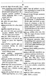 The Concise Sanskrit Dictionary (An Old and Rare Book) - Retail Maharaj