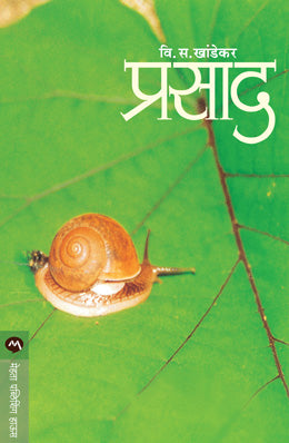 PRASAD - Retail Maharaj