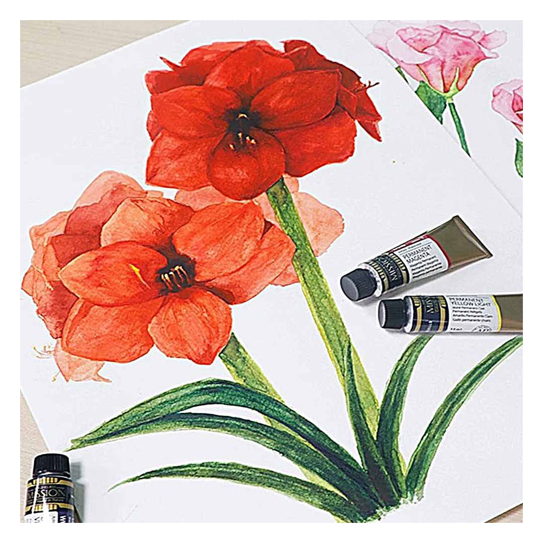 Mijello Mission Gold Watercolor Paint 7ml Set of 12, 18, 24 & 36 - Retail Maharaj