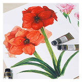 Mijello Mission Gold Watercolor Paint 7ml Set of 12, 18, 24 & 36 - Retail Maharaj