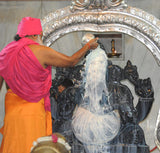Abhishekam to Ganesha at Brahma Vidya Ganapati Temple - Retail Maharaj