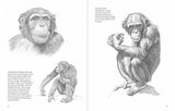 Approach to Drawing Animals Step by Step Guide for Artists by Gopal Nandurkar - Retail Maharaj