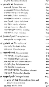 निघण्टु आदर्श: Nighantu Adarsha (Volume-2) - Retail Maharaj