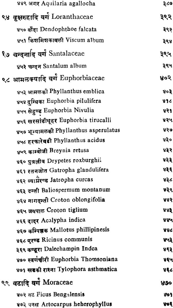 निघण्टु आदर्श: Nighantu Adarsha (Volume-2) - Retail Maharaj