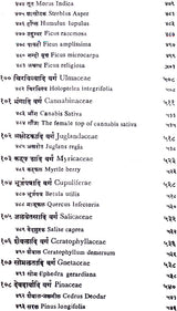 निघण्टु आदर्श: Nighantu Adarsha (Volume-2) - Retail Maharaj