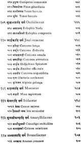 निघण्टु आदर्श: Nighantu Adarsha (Volume-2) - Retail Maharaj