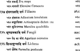 निघण्टु आदर्श: Nighantu Adarsha (Volume-2) - Retail Maharaj