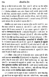 औपसर्गिक रोग - Infectious Diseases (Set of 2 Volumes) - Retail Maharaj