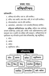 Sanskrit Vyakaran Shastra Pravesini (Sanskrit Grammar Sastra Pravesini) - Retail Maharaj