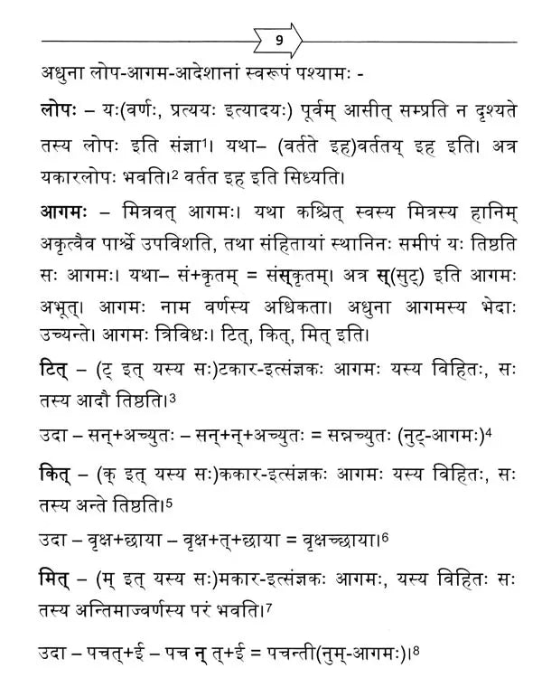 Sanskrit Vyakaran Shastra Pravesini (Sanskrit Grammar Sastra Pravesini) - Retail Maharaj
