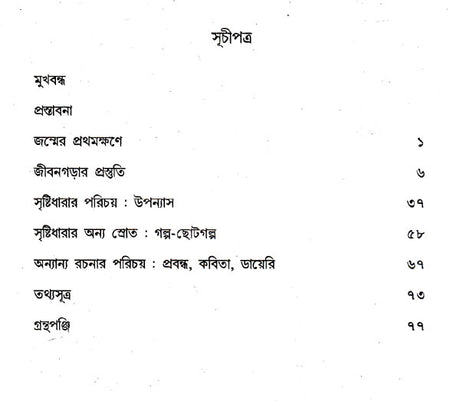 Satinath Bhaduri (Bengali) - Retail Maharaj