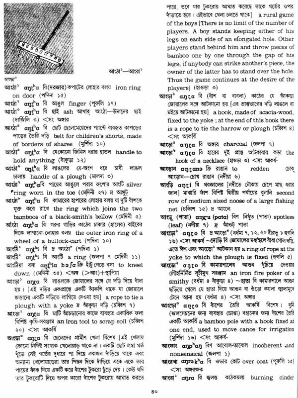 A Dictionary of Dialectal Bengali Language (Set of Five Volumes)