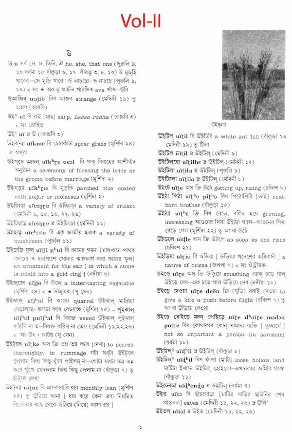 A Dictionary of Dialectal Bengali Language (Set of Five Volumes)