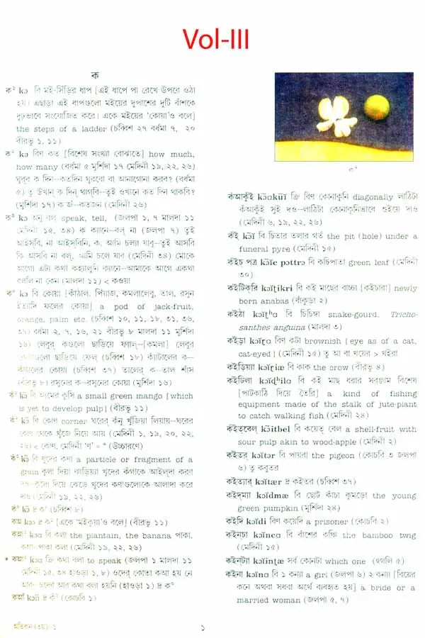 A Dictionary of Dialectal Bengali Language (Set of Five Volumes)