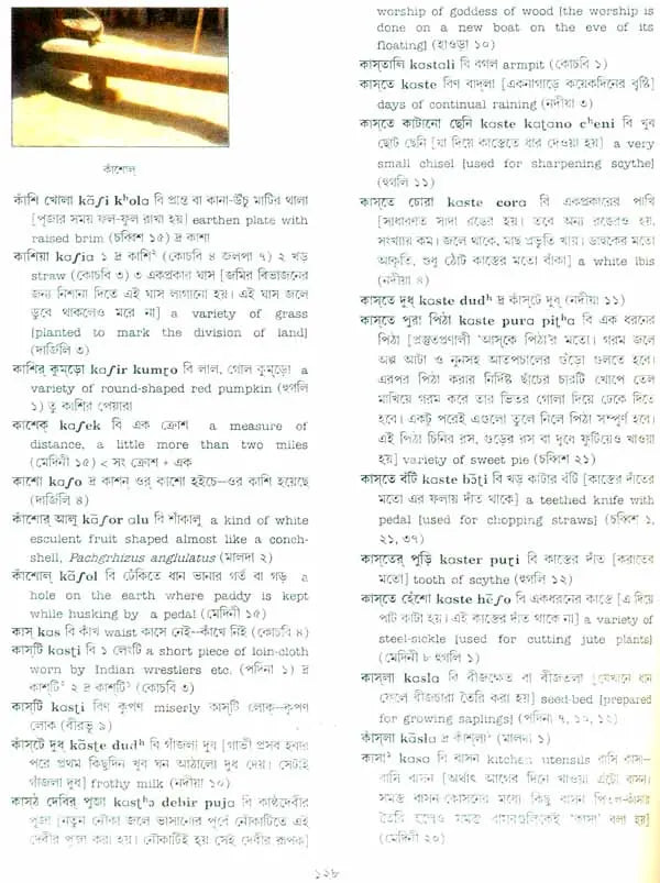 A Dictionary of Dialectal Bengali Language (Set of Five Volumes)