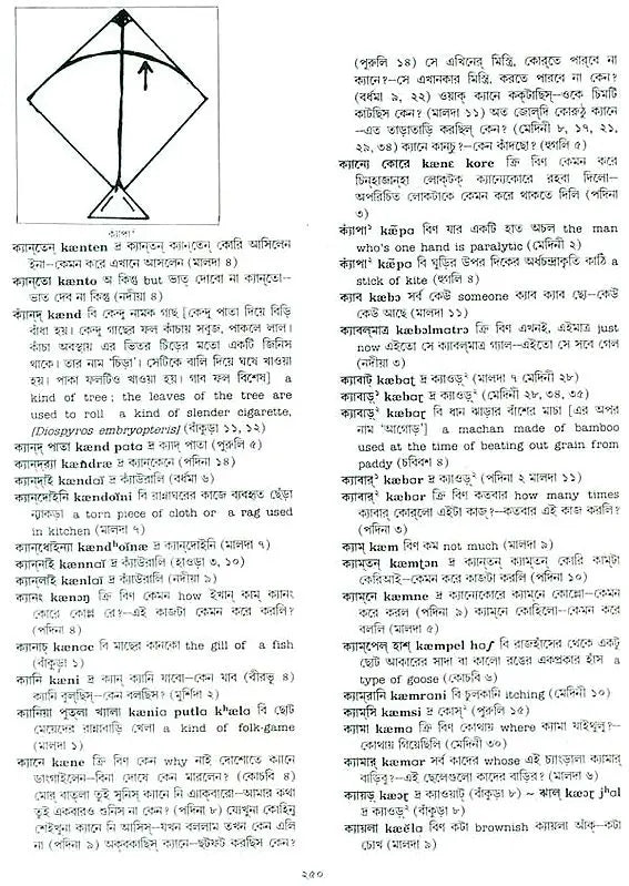 A Dictionary of Dialectal Bengali Language (Set of Five Volumes)
