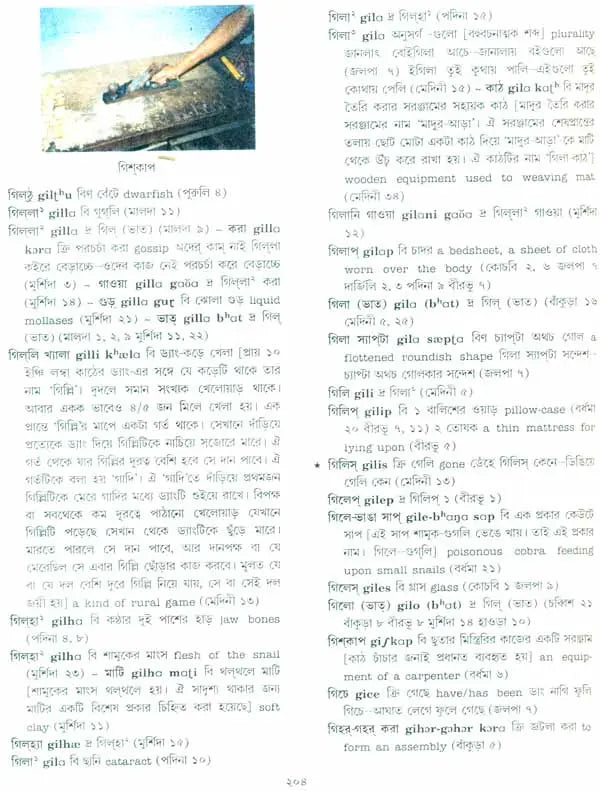A Dictionary of Dialectal Bengali Language (Set of Five Volumes)