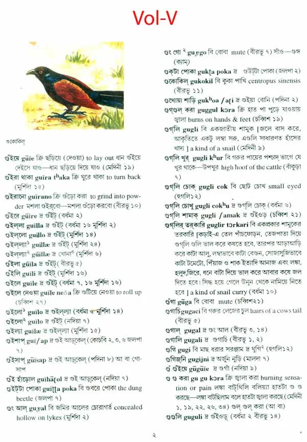 A Dictionary of Dialectal Bengali Language (Set of Five Volumes)