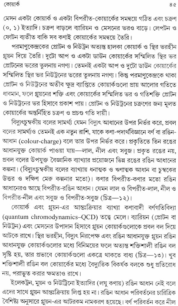 Boichitramoy Kanajagat (Bengali) - Retail Maharaj