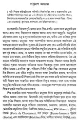 Silper Swarup (A Bengali Translation of Leo Tolstoy's 'What is Art')