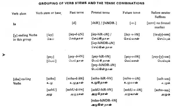 A Pedagogical Dictionary of Written Tamil Verbs (An Old and Rare Book)
