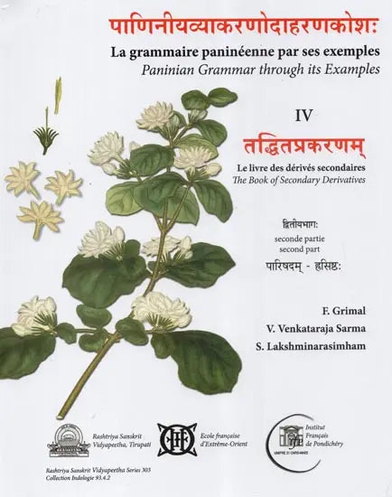 Paninian Grammar Through its Examples - The Book of Secondary Derivatives IV-II Volume - Retail Maharaj