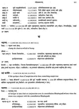 Paninian Grammar Through its Examples - The Book of Secondary Derivatives IV-II Volume - Retail Maharaj