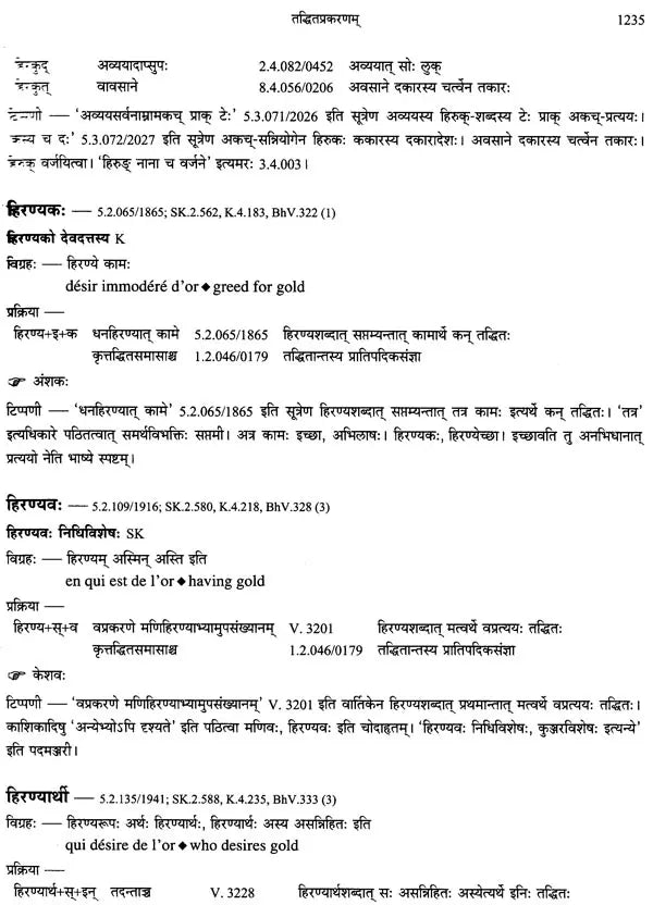 Paninian Grammar Through its Examples - The Book of Secondary Derivatives IV-II Volume - Retail Maharaj