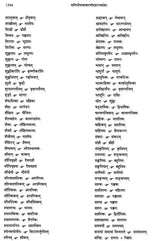 Paninian Grammar Through its Examples - The Book of Secondary Derivatives IV-II Volume - Retail Maharaj
