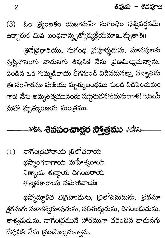 Lord Shiva And His Worship (Telugu) - Retail Maharaj