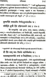 Yajnavalkya Smrti with Many Sanskrit Commentaries A Heavy Book - Retail Maharaj