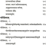 Gita Govindam with a Sanskrit Commentary In Sanskrit Only - Retail Maharaj