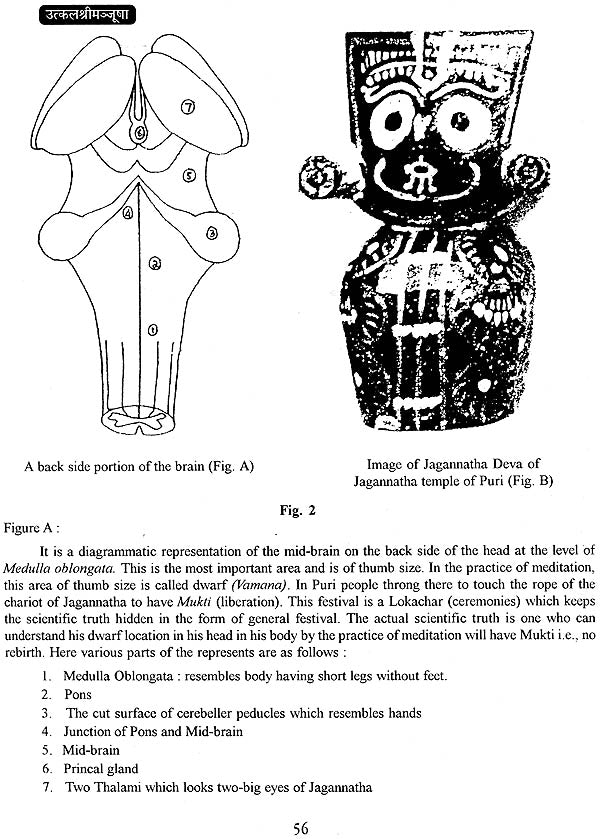 Utkalasrimanjusa (Proceedings of Seminar on Sri Jagannatha Cult - Sri Chaitanya Philosophy & Sri Jayadeva Literature) - Retail Maharaj