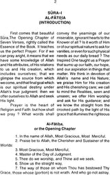 The Meanings of The Illustrious Qur'an - Retail Maharaj