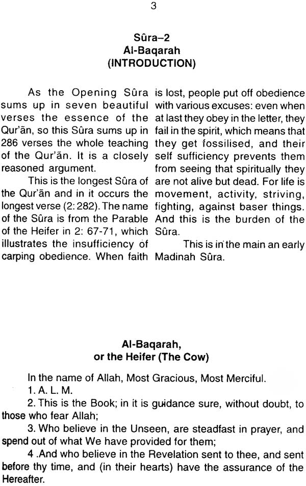 The Meanings of The Illustrious Qur'an - Retail Maharaj