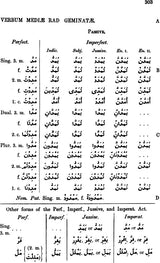 A Grammar of The Arabic Language (Set of 2 Volumes) - Retail Maharaj