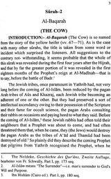 The Meaning of The Glorious Qur’an - Retail Maharaj
