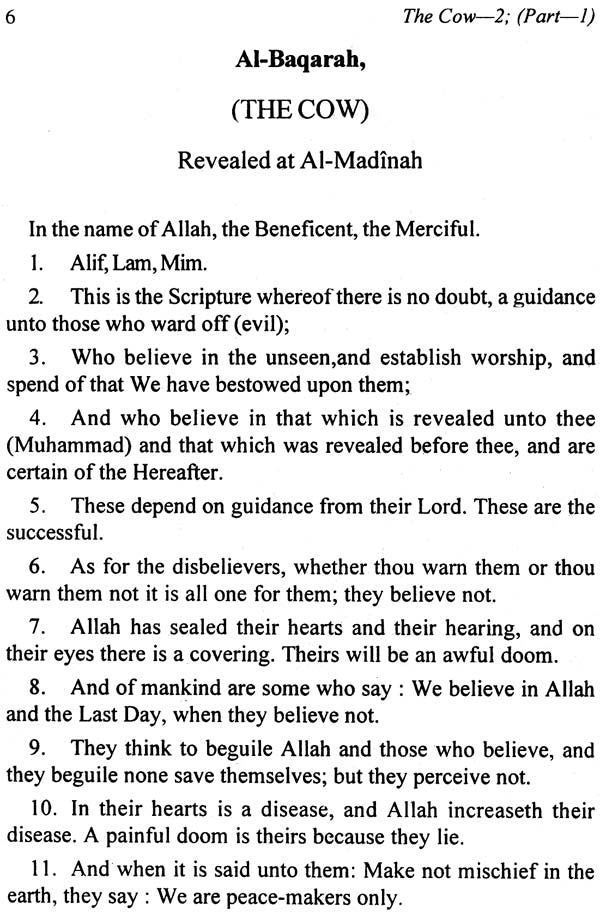 The Meaning of The Glorious Qur’an - Retail Maharaj