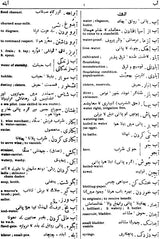 The Modern Persian Dictionary - Retail Maharaj