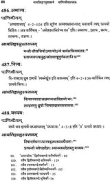 Impact of Panini on Nama Linga Anushasan - Retail Maharaj